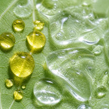 Botanical oils close-up